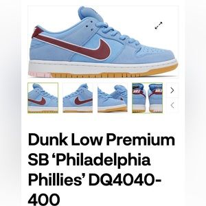 New Men Nike Dunk Low Premium sneakers